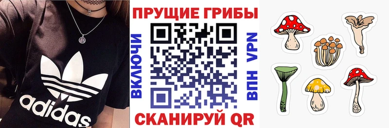 Галлюциногенные грибы прущие грибы  blacksprut зеркало  это Telegram  наркотики  Искитим 