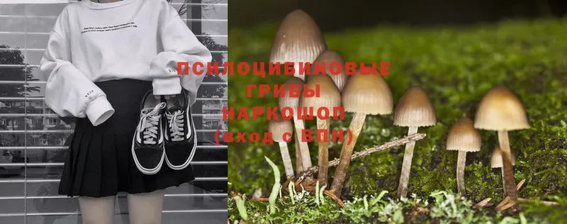 Псилоцибиновые грибы MAGIC MUSHROOMS Искитим